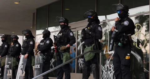 Immigration Customs Enforcement ICE Protest Los Angeles CBP Stock Footage 311086387