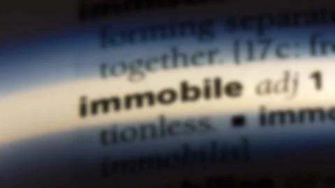 Immobile word in a dictionary. Stock Footage 99560812