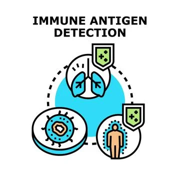 Immune antigen detection process in human body concept Stock Illustration