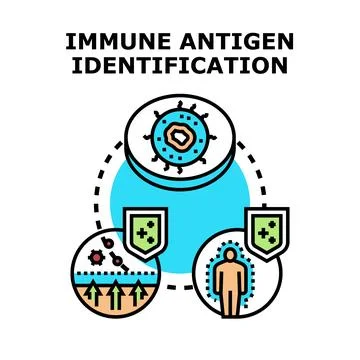 Immune antigen identification and defense system concept Stock Illustration