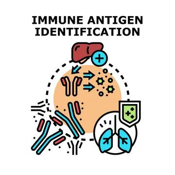 Immune antigen identification science concept illustration Stock Illustration