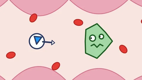 Immune Cell Attacking Virus In Bloodstream Cartoon Animation Stock Footage 340746484