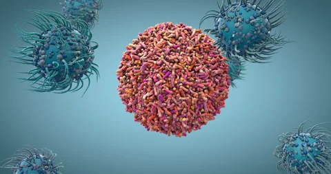 Immune cells latch onto a virus-infected cell Stock Footage 335367221