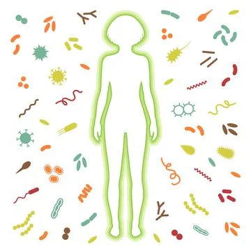 Immune protection system Stock Illustration