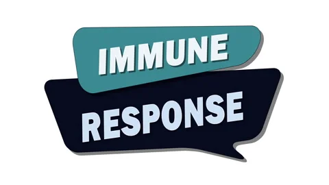 Immune response – The body's defense reaction against pathogens Stock Footage 308715253