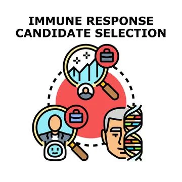 Immune response candidate selection in medical research Stock Illustration