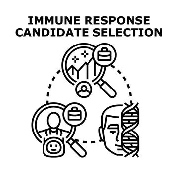 Immune response candidate selection in medical research Stock Illustration