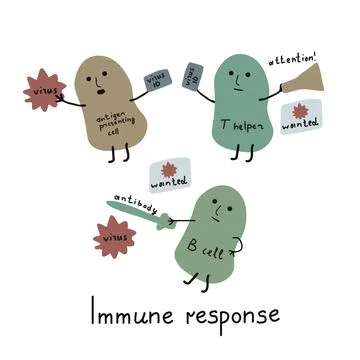 Immune response illustration Illustrazione stock