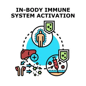 Immune system activating protection for body health Stock Illustration