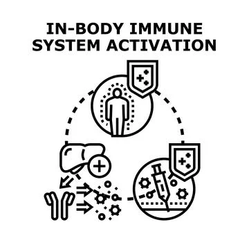 Immune system activating protection for body health Stock Illustration