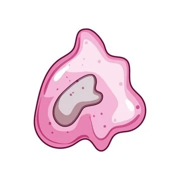 Immune system cell cartoon defending human body Stock Illustration