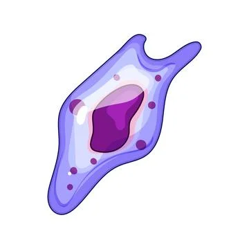 Immune system cell recognizing and fighting pathogen illustration Stock Illustration