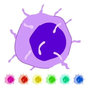 Immune system cell recognizing pathogen in human body graphic Stock Illustration