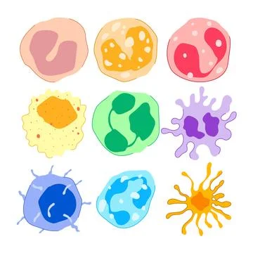Immune system cells defending human body illustration Stock Illustration