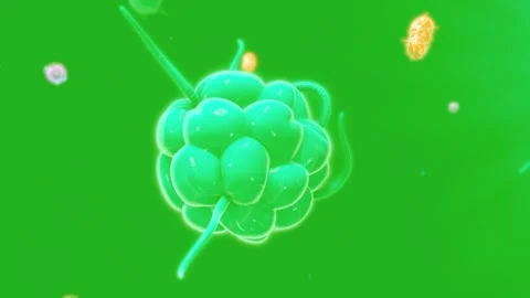 Immune System Concept | Human Body Defense and Protection Illustration Stock Footage 316028319