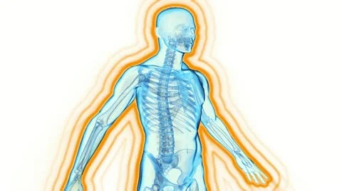 Immune System Defence Stock Footage 12623325