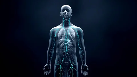 Immune system defends the body against infections and diseases 動画素材 127539417