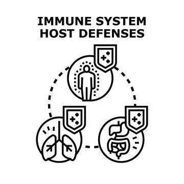 Immune system host defenses against diseases concept Stock Illustration