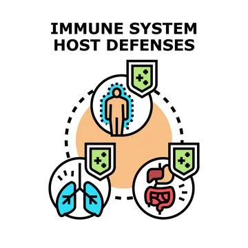 Immune system host defenses against diseases concept Stock Illustration