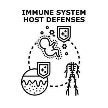 Immune system host defenses protecting human body Illustrazione stock