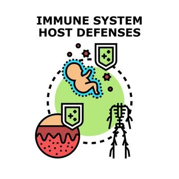 Immune system host defenses protecting human body Illustrazione stock