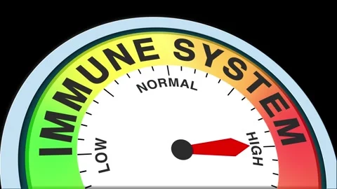 Immune System Level Text or Word  Low and Medium to High Meter Concept Stock Footage 284435572