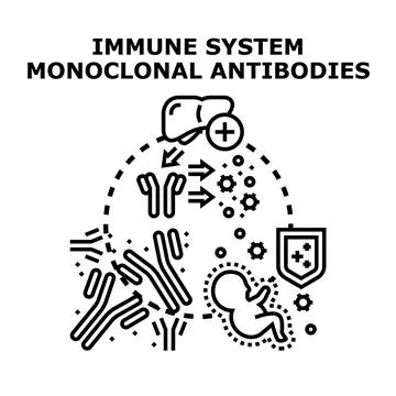 Immune system monoclonal antibodies attacking pathogen cells Stock Illustration