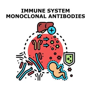 Immune system monoclonal antibodies attacking pathogen cells Stock Illustration