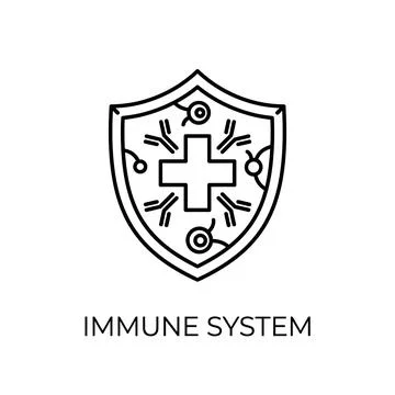 Immune system outline icon with shield and cross medical sign on white back.. Stock Illustration