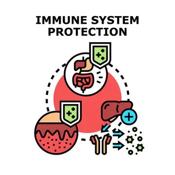 Immune system protection process boosting human health Stock Illustration