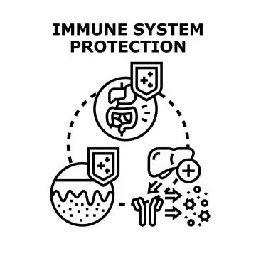 Immune system protection process boosting human health Stock Illustration