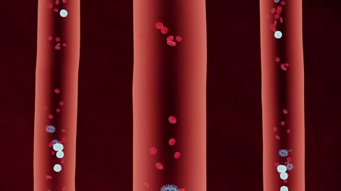 Immune System Response – Leukocytes and Erythrocytes with Virus in Blood Vesse Stock Footage 335964810