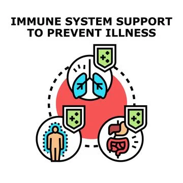 Immune system support preventing illness protection concept Stock Illustration