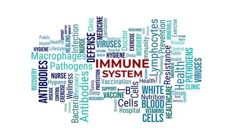 Immune system themed word cloud highlighting antibodies and infection prote.. Иллюстрация