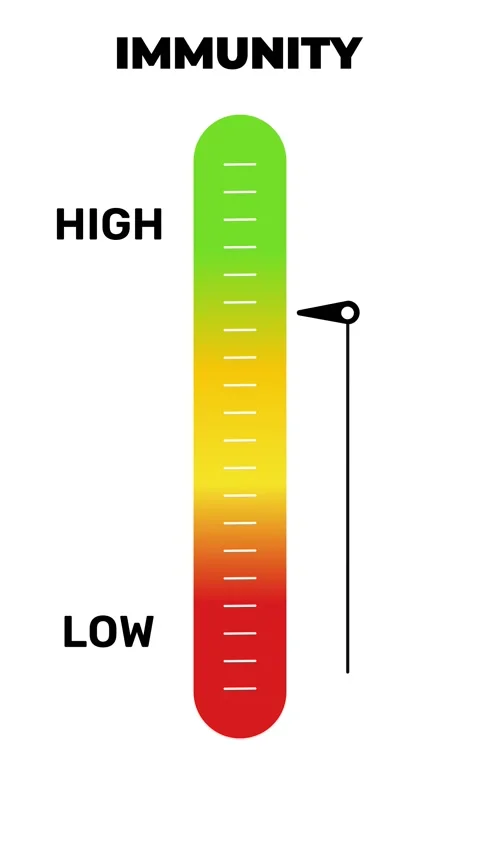 Immunity Level Indicator Gauge Animation Low to High Stock Footage 316514655