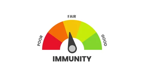 Immunity Level Measuring animation. Stock Footage 252990129