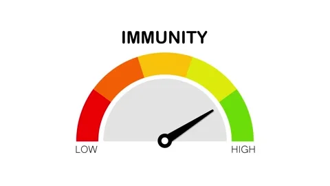 Immunity Level Meter Gauge Animation Low to High Indicator with Moving Needle Vídeos de archivo 316514661