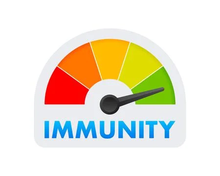 Immunity Level Meter, measuring scale. Immunity speedometer, indicator. Vector Stock Illustration