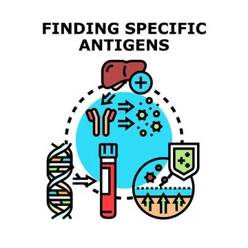 Immunity system finding specific antigens in body for protection Stock Illustration