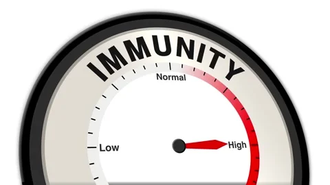 Immunity Text or Word Level Low Normal High - Barometer or Tachometer Stock Footage 308301126
