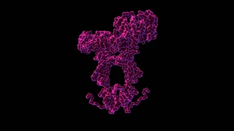 Immunoglobulin A2, molecular model 動画素材 64826114