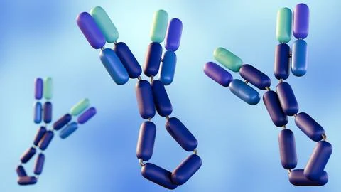 Immunoglobulin E or IgE exists as a single Y-shaped molecule. Stock Illustration