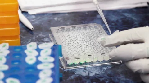 Immunological plate Stock Footage 204065787