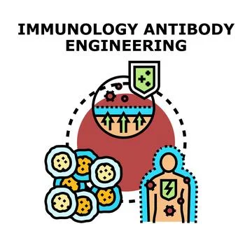 Immunology antibody engineering concept developing human immunity Stock Illustration
