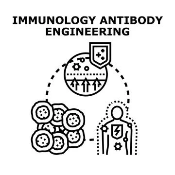 Immunology antibody engineering concept developing human immunity 库存插图