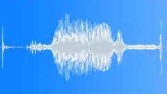 Impact Carpet 22 CaliberSound Effect
