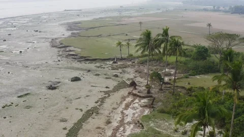 The impact of climate changes in the southern part of Bangladesh Stock Footage 133160552