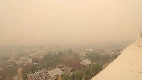 The impact of a forest fire Stock Footage 244691305