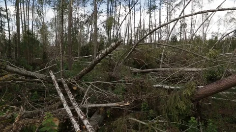 The impact of the hurricane Stock Footage 83877251