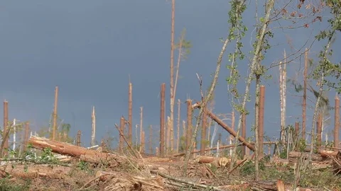 The impact of the hurricane Stock Footage 83877440